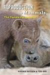 Reproduction In Mammals: The Female Perspective