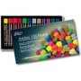 Gallery Artist& 39 S Oil Pastels - Fluorescent And Metallic Pack Of 12 - 6 Fluorescent And 6 Metallic