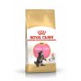 ROYAL CANIN Maine Coon Kitten - 4KG