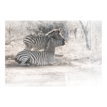 Trust Art Print - Matte Fine Art Print No Frame A3