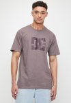 Star Ss Dark Plum Logo - Plum Truffle