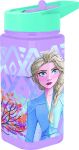 Frozen Square Water Bottle