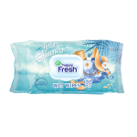 Hello Summer Happy Fresh Wet Wipes 100'S - Single Pack - Bulk 100'S X 12