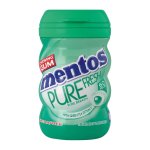 Gum Big Bottle 60P - Spearmint