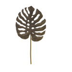 Monstera Leaf 50X3X115CM Black