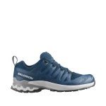 Salomon Xa Pro 3D V9 Mens Shoe - 11