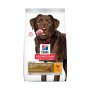 Canine Adult Healthy Mobility Large Breed Chicken Dog Food - 12KG