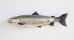 Silver Fish Hanging Ornament 12X46CM