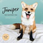 Juniper: The Happiest Fox 2019 Wall Calendar