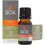 Aromatherapy Oil 10ML Sleep