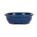 Assorted Glazed Bonsai Pots 12" - Blue Oval With Lip 31 X 25 X 8CM
