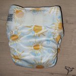 Omnia V2 – Summer