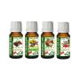 Oily Skin Face | CARRIER OILS MINI Collection
