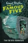 Five Fall Into Adventure Book 9 Paperback