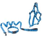 West Coast Blues Collar Lead And Harness Bundle - Large