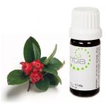 Escentia Wintergreen Pure Essential Oil - 10ML
