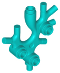 Parts Plant Thallus Seaweed Coral 49577