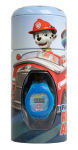 Watch And Money Tin
