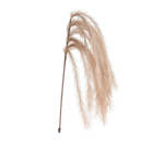 Feathers On Stem 130CM Beige