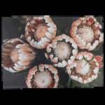 Disposable Placemats King Protea Buds 24 Piece