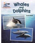 Reading Planet - Whales And Dolphins - White: Galaxy Paperback