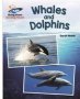 Reading Planet - Whales And Dolphins - White: Galaxy   Paperback