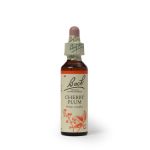 Plum Cherry 20ML