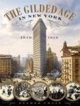 The Gilded Age In New York 1870 - 1910 Hardcover