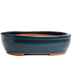 Assorted Glazed Bonsai Pots 8" - Blue Oval 20 X 14.5 X 5CM