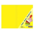 Manilla Folder 100 Donau Br yello