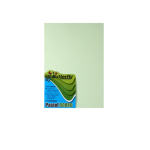 Butterfly A4 Pastel Board 10S Green