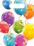 Party Bags 6PACK