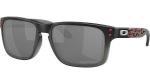 Oakley Holbrook