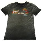 H-d Mzansi Dealer T Shirt -HDRM004093