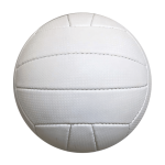 Size 5 Volleyball White