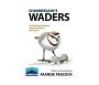 Chamberlain&  39 S Waders - The Definitive Guide To Southern Africa&  39 S Shorebirds   Paperback