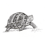 Tort Ls Art Print - A2