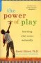 The Power Of Play - Learning What Comes Naturally   Paperback