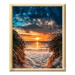 Adult Paint By Numbers With Frame - Pathway To Freedom