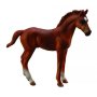 Thoroughbred Chestnut Foal