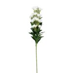 Wisteria Plant 90CM - White