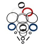 Seal Kit Viton For Air Operated Oil Pump Ratio: 1:1