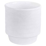Arctic White Egg Cup