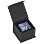 Crystal Cube MINI Award