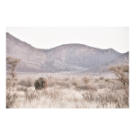 Walk Alone Art Print - Matte Fine Art Print No Frame A1