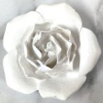 White Resin Magnolia White