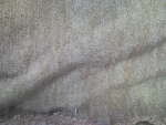 Siberian Jersey Knit