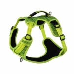 Rogz Utility Large Fanbelt Explore Harness Yellow Reflective Waggs Pet Shop