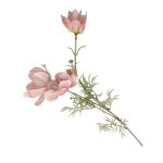 Light Pink Garden Cosmos 70CM