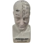 Ceramic Phrenology Head Bust Height: 26CM